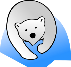polar-bear-303683_960_720